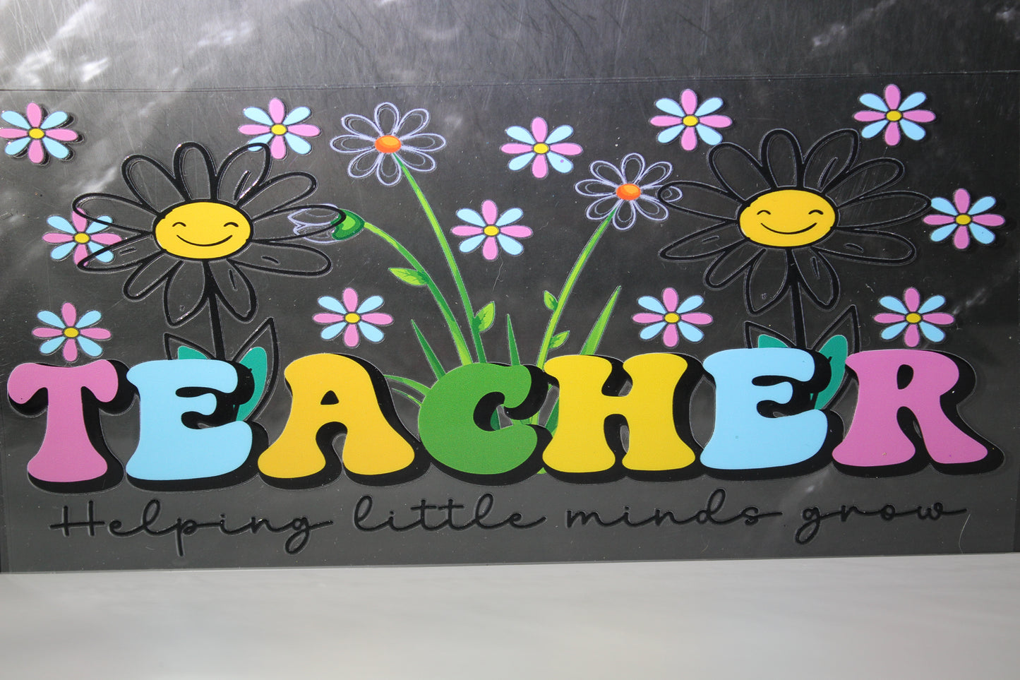 #1176 Teacher