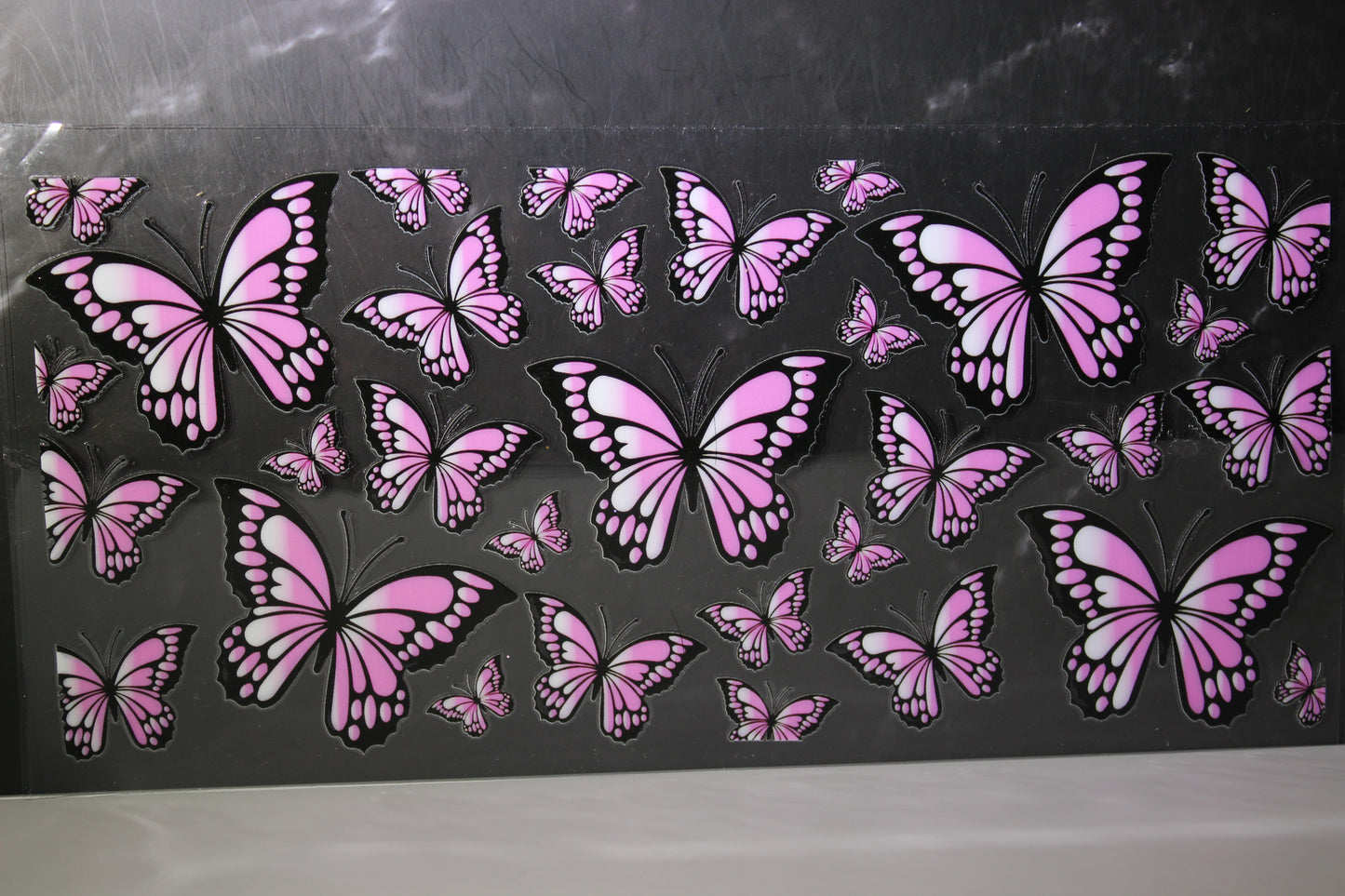 #462 Butterfly