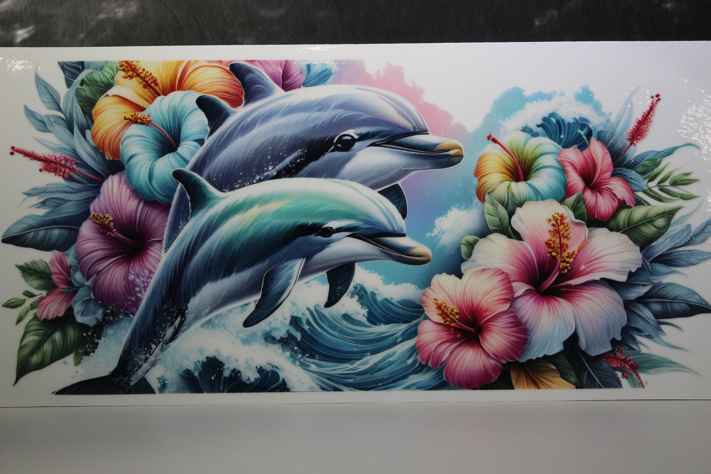 #682 Ocean