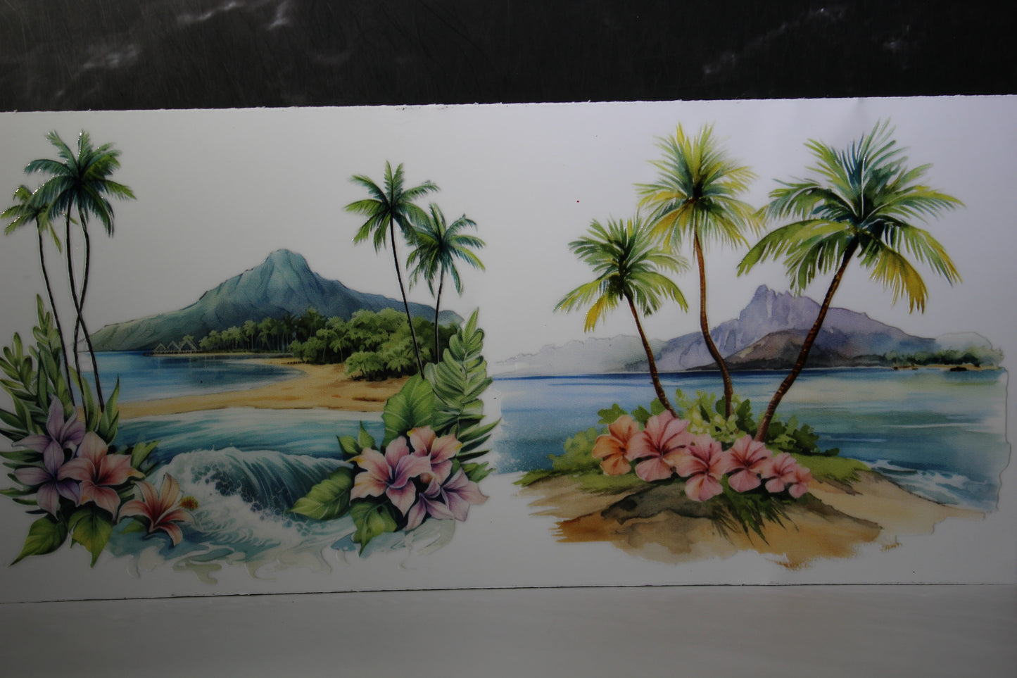 #684 Ocean