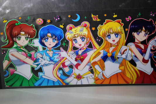 #1158 Sailor Moon