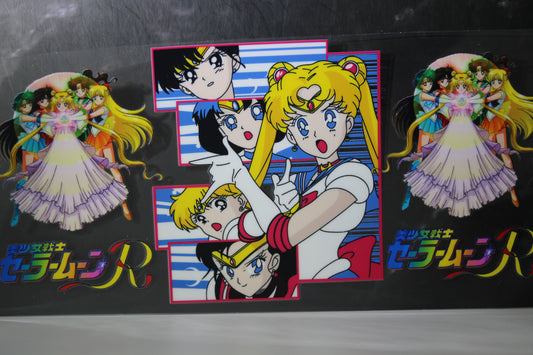 #1160 Sailor Moon
