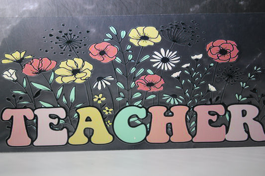 #1194 Teacher