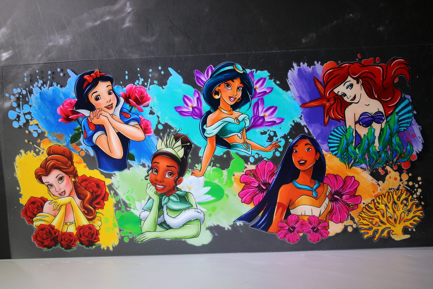 #255 DS Princess Group