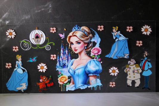 #361 DS Princess/Villains