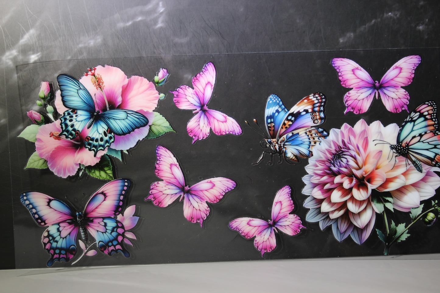 #442 Butterfly