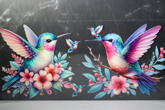 #612 Hummingbird