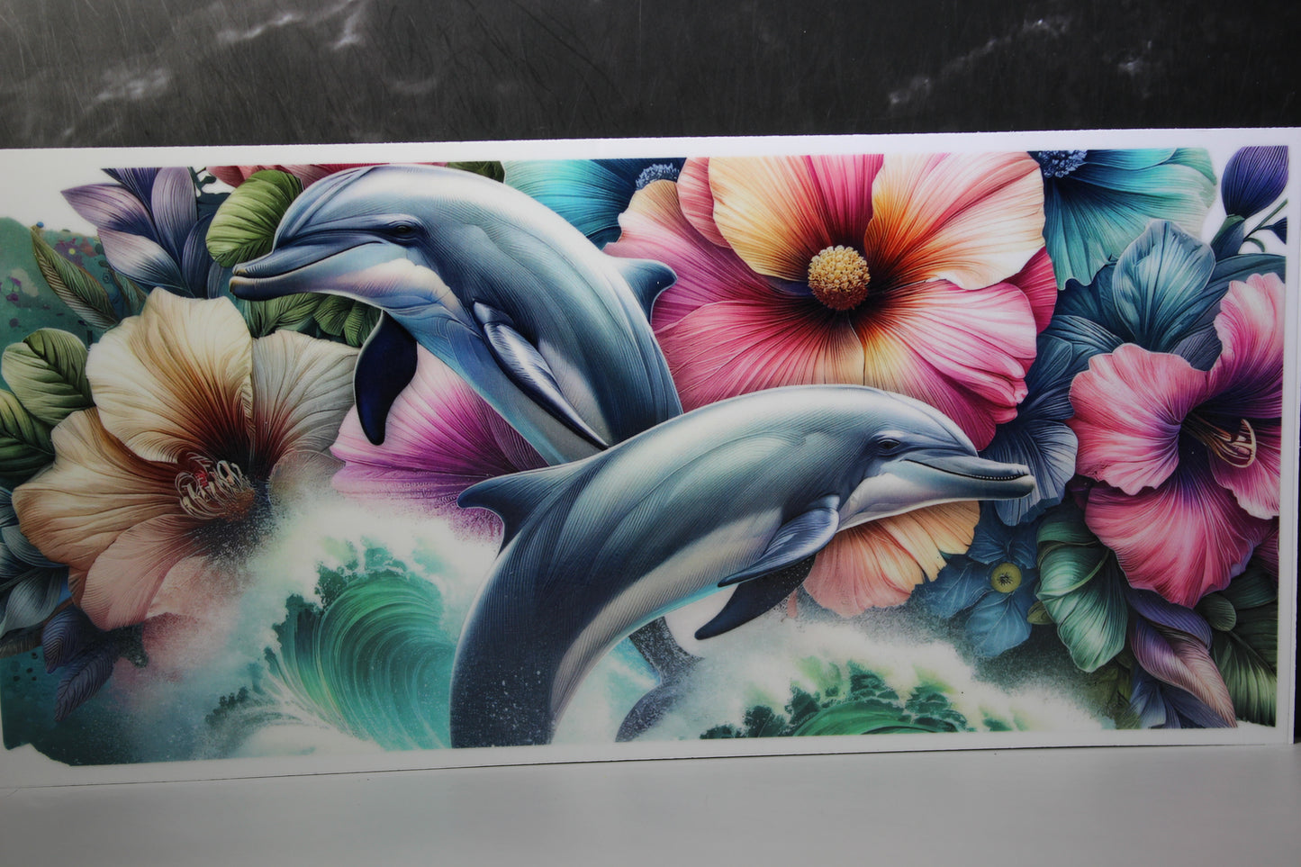 #681 Ocean