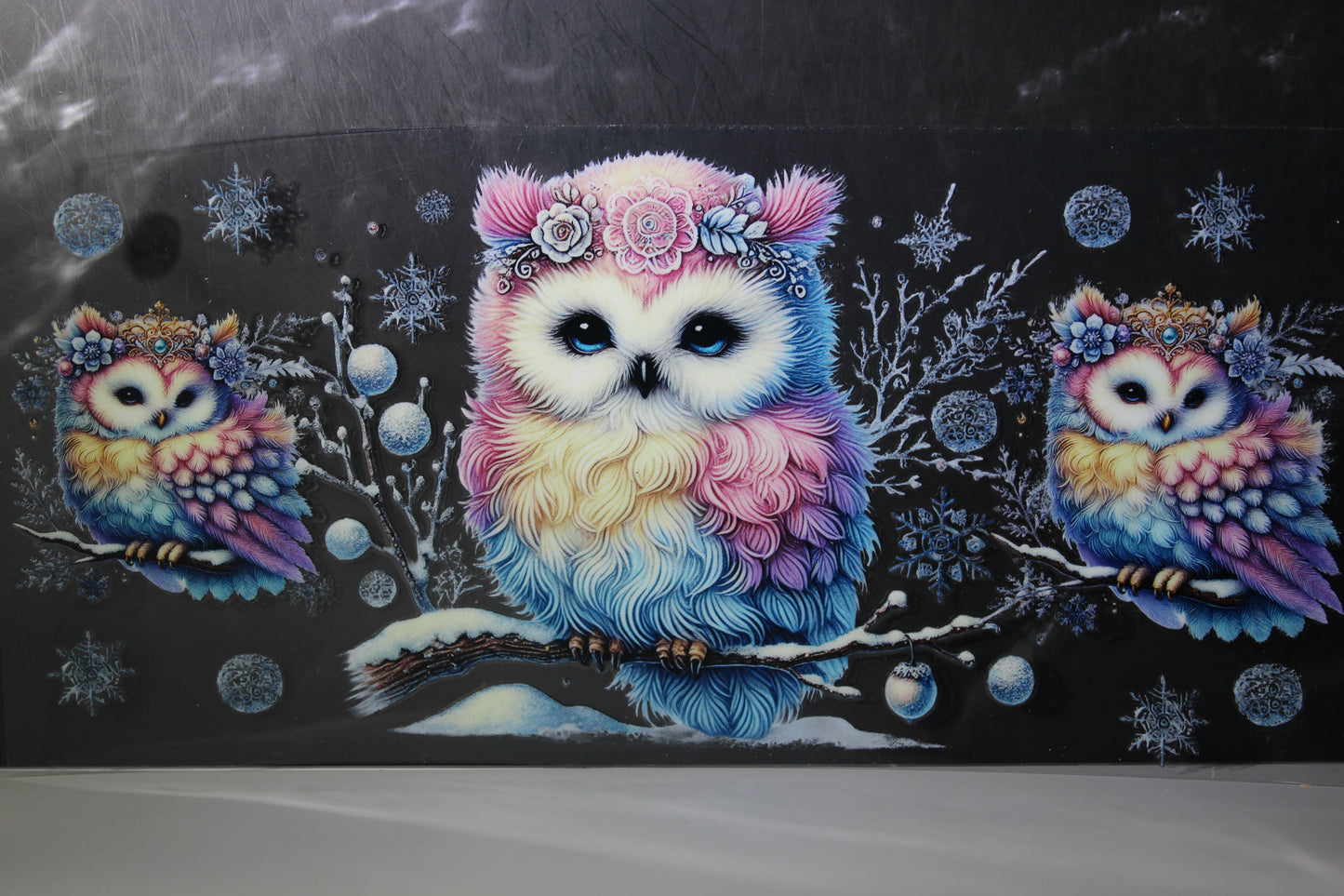 #882 Cute Animals