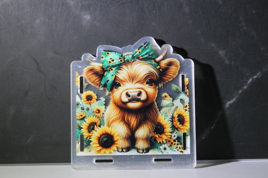 Oh the sunflowers