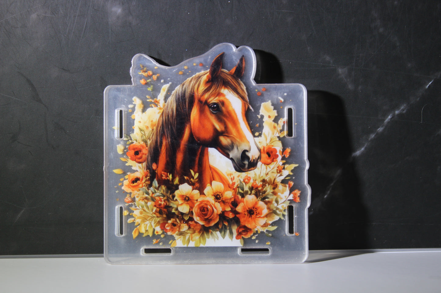 All the pretty horses